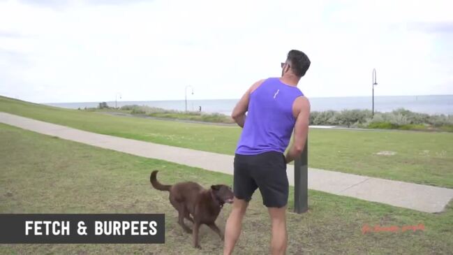 #SAM7 - Dog Workout