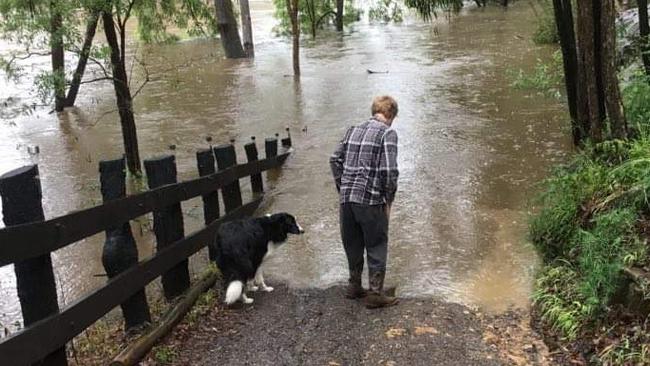 The Colo River encraching on local properties. Picture: Elizabeth Ross