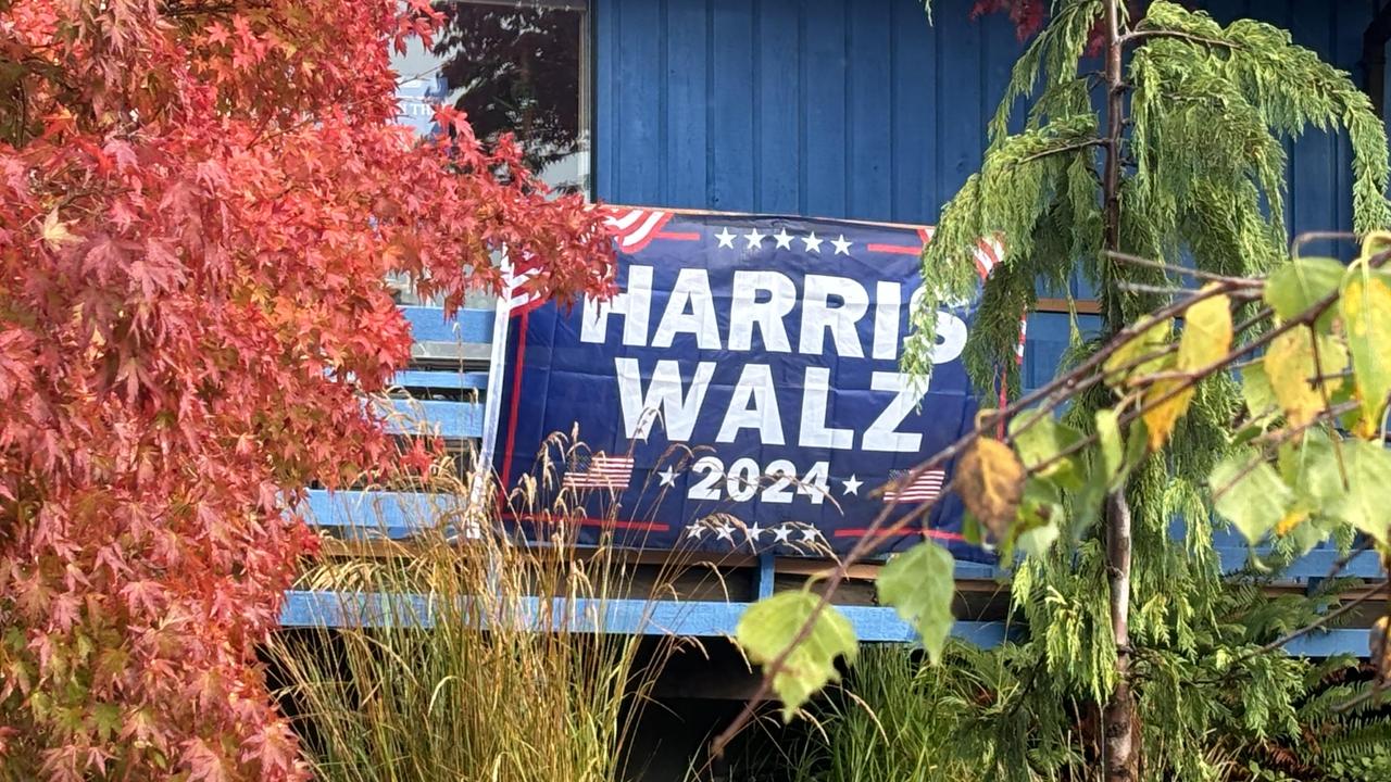 Harris-Walz signs outnumbered those of Trump. But the town of Forks is more staunchly Republican. Picture: Benedict Brook