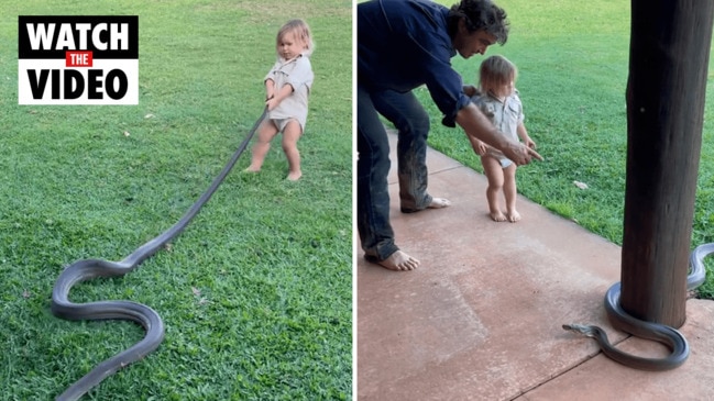 Two-year-old boy plays with giant snake in viral video