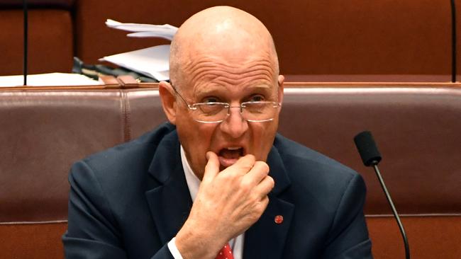 The people who are creating that fury are not Leyonhjelm. (Pic: Mick Tsikas)