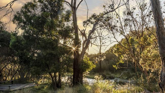 The Briars, Mt Martha at sunrise. Picture: yannicreative