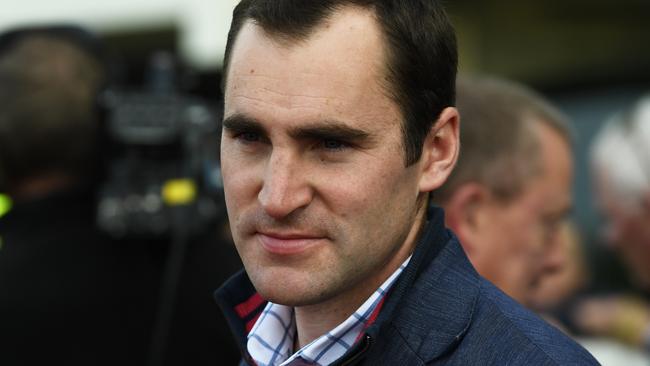 Trainer Archie Alexander has certainly got the best out of six-time winner Crackerjack Prince. Picture: James Ross.