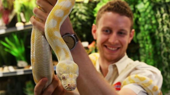 Kellyville store pets reptiles