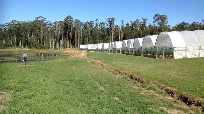 NRAR officers inspecting farm dams on the Coffs Coast.