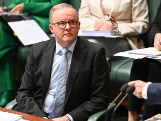 CANBERRA, Australia, NewsWire Photos. June 5, 2024: Prime Minister Anthony Albanese during Question Time at Parliament House in Canberra. Picture: NewsWire / Martin Ollman