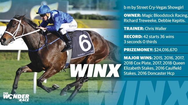 Winx — What you need to know.