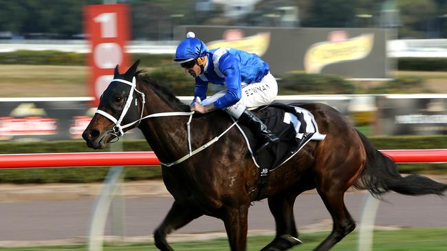 Champion mare Winx (Hugh Bowman) is chasing 20 straight wins in tomorrow’s George Main Stakes. Picture: Tim Hunter.