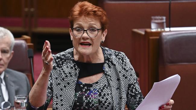 Senator Pauline Hanson has lashed out at Woolies and Bunnings over Australia Day. Picture: NCA NewsWire / Martin Ollman