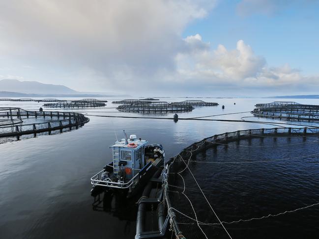 Tassal salmon pens, in Macquarie Harbour, Strahan, West Coast of TasmaniaPicture: MATHEW FARRELLfish / pen / salmon / farm / fish farm / net / cage / aquaculture