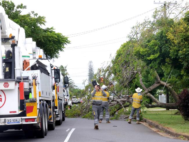 Energex personal work to restore power in Scarborough after a tree fell onto powerlines, Scarborough, during Ex-Cyclone Alfred, at Redcliffe. Picture: Steve Pohlner