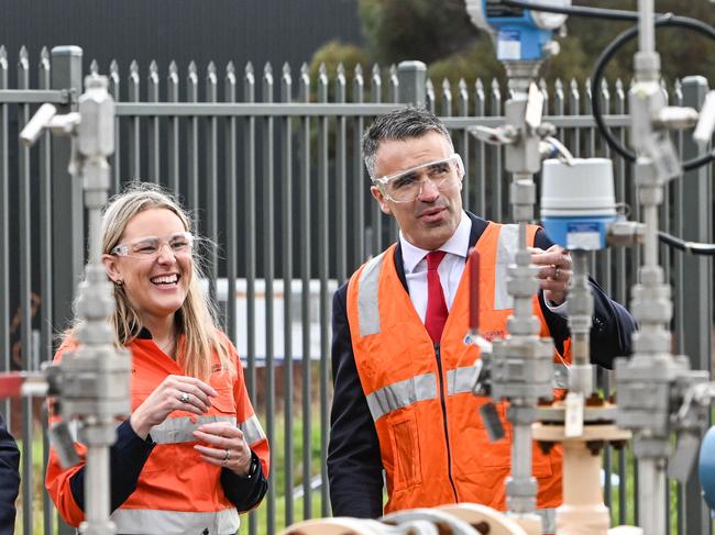 ADELAIDE, AUSTRALIA - NewsWire Photos AUGUST 29, 2022: Australian Gas Strategy and Sustainability EGM Kristin Raman and South Australian Premier Peter Malinauskas at Hydrogen Park SA in the Tonsley Innovation Precinct. Picture: NCA NewsWire / Brenton Edwards