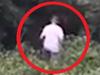 Chilling Laundrie video theory quashed