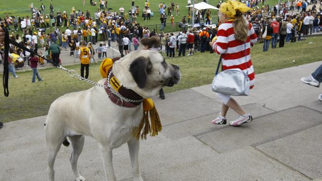 AFL Outer East has asked supporters not to bring dogs to matches.