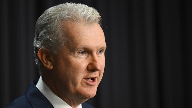 Employment Minister Tony Burke. Picture: AAP