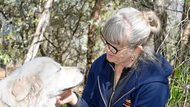 CLOSE ENCOUNTER OF THE FURRY KIND: Helen Brennan gets up close and personal with a maremma, her favourite breed of dog. Picture: Nathan Greaves