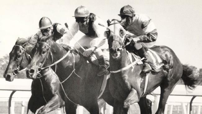 Molokai Prince ridden by jockey Ron Quinton is bumped by Prince Regent. Picture: Barry Pascoe