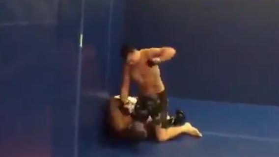 Professional MMA fighter bashes bully troll