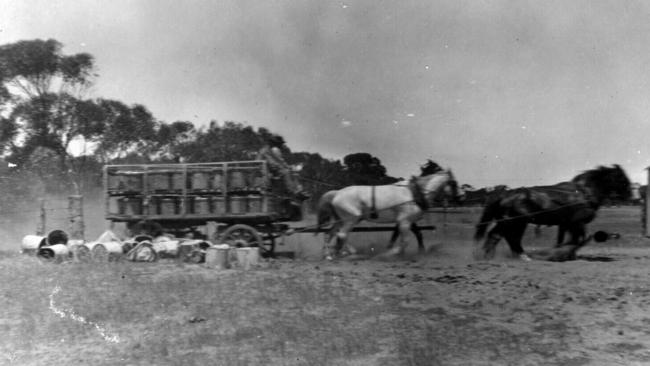 A horse-drawn night-cart at Murray Bridge.