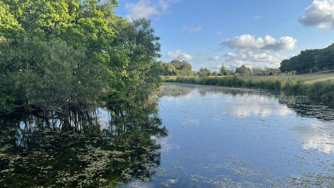 A photo at Sydney Park taken with an iPhone 12 Pro exhibits natural colours, detail and textures. Picture: Chris Griffith