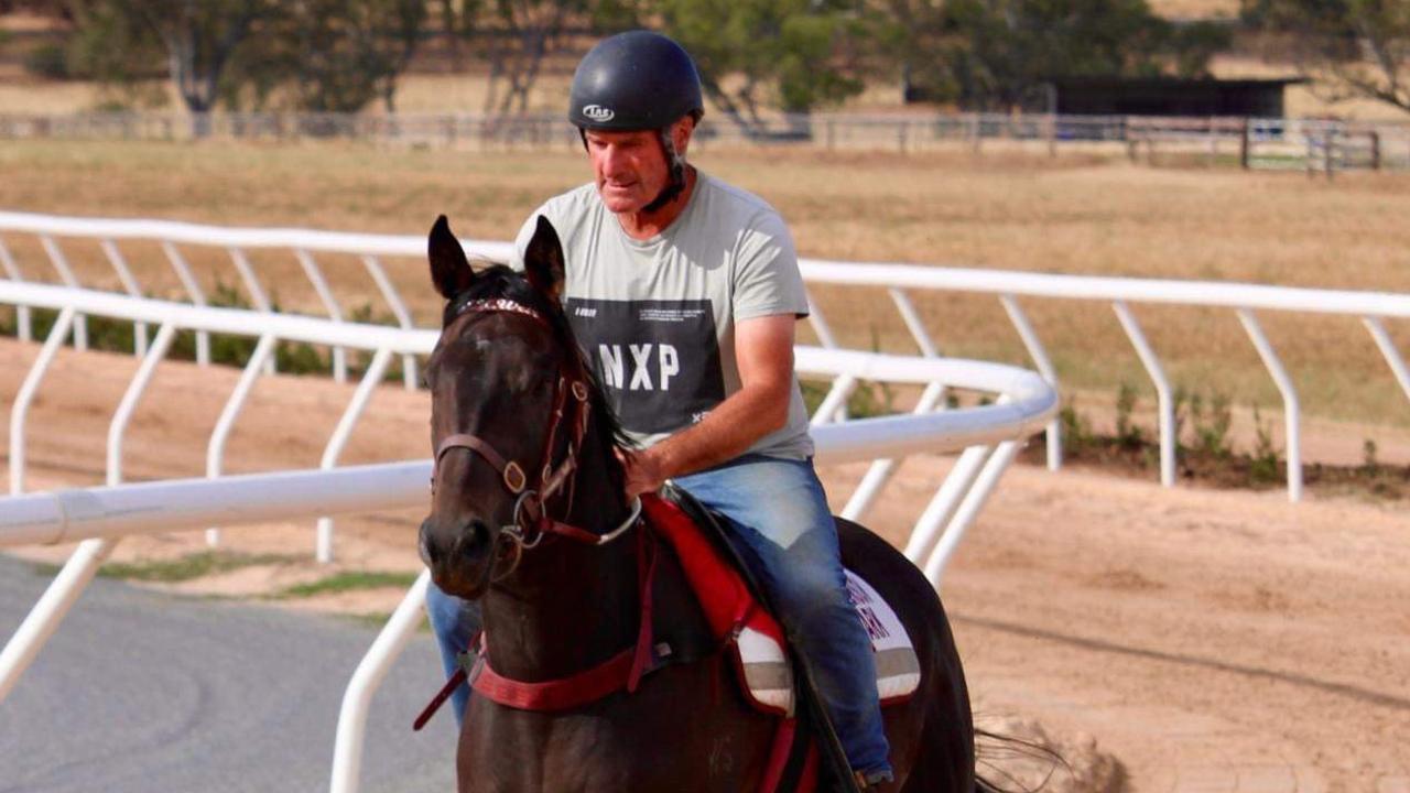 Darren Weir works a horse at his Trevenson Park pre-training centre. Picture: Supplied