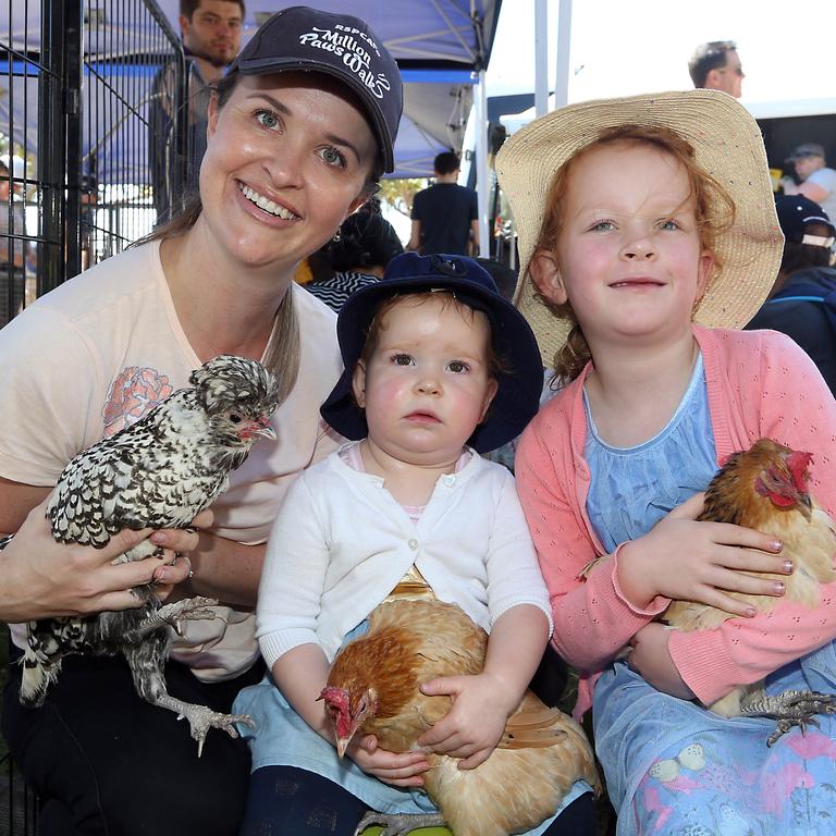 Nikki Johnston with Mia, 1, and Zara, 5 checking out the chooks. Picture: Richard Gosling