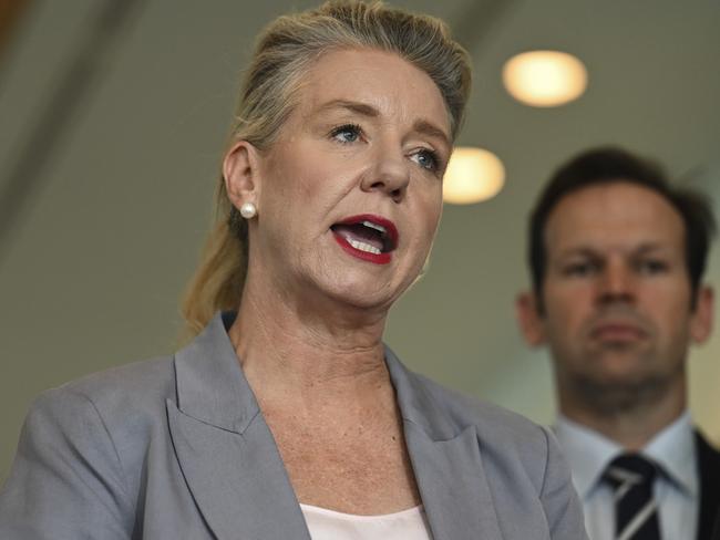 Bridget McKenzie says she is concerned by the AFL covering up drug use. Picture: NCA NewsWire / Martin Ollman