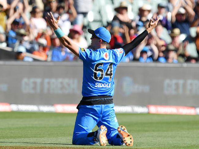 Peter Siddle of the Adelaide Strikers celebrates the dismissal of Mohammad Nabi of the Melbourne Renegades during the Big Bash League (BBL)cricket match between the Adelaide Strikers and the Melbourne Renegades at Adelaide Oval in Adelaide, Sunday, January 12, 2020. (AAP Image/David Mariuz) NO ARCHIVING, EDITORIAL USE ONLY, IMAGES TO BE USED FOR NEWS REPORTING PURPOSES ONLY, NO COMMERCIAL USE WHATSOEVER, NO USE IN BOOKS WITHOUT PRIOR WRITTEN CONSENT FROM AAP