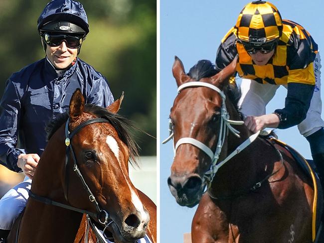 Gun colt Storm Boy (left) and Thousand Guineas champ Joliestar have met with heavy market support ahead of their Rosehill assignments on Saturday.