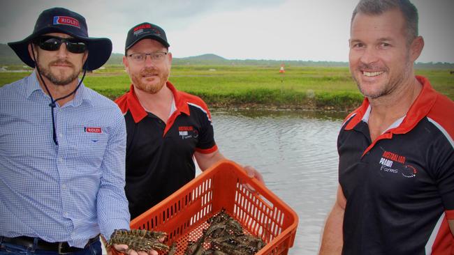 Ridley Group Technical and Research and Development Manager Dr Richard Smullen, Australian Prawn Farms Senior Manager – Research and Biosecurity Tony Charles, and Australian Prawns General Manager Matt West. Picture: Contributed