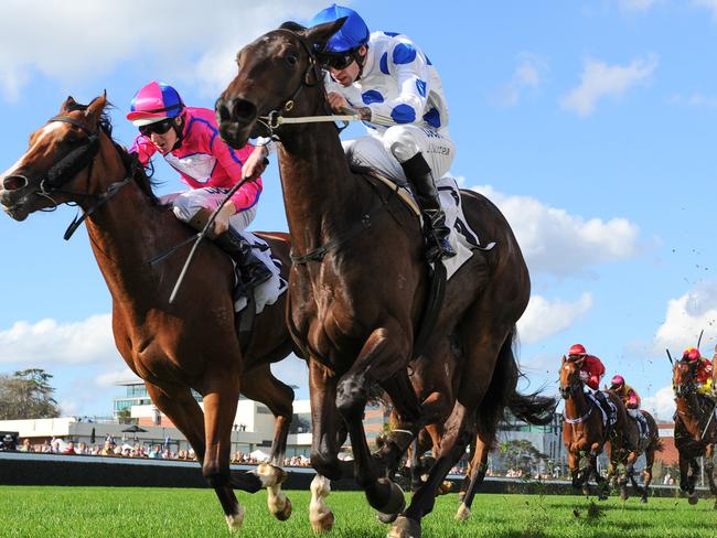 Oregon's Day fights out the finish with Highland Beat (left) in the Thoroughbred Club Cup in April. Picture: Getty Images