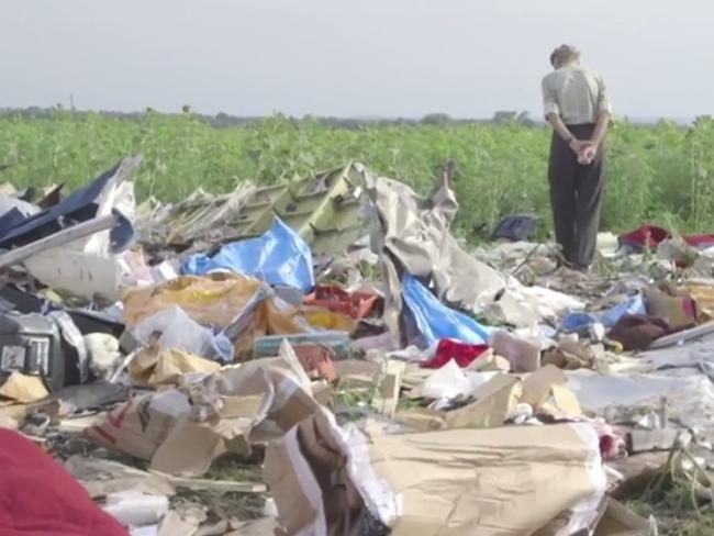 A local inspects the crash site.