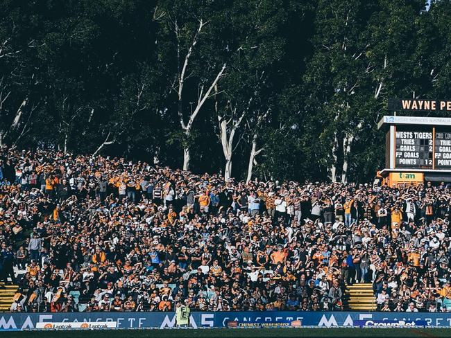 Leichhardt oval applies for government grant