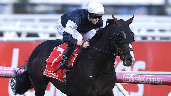 Yucatan is the favourite to win the Melbourne Cup. Picture: AAP