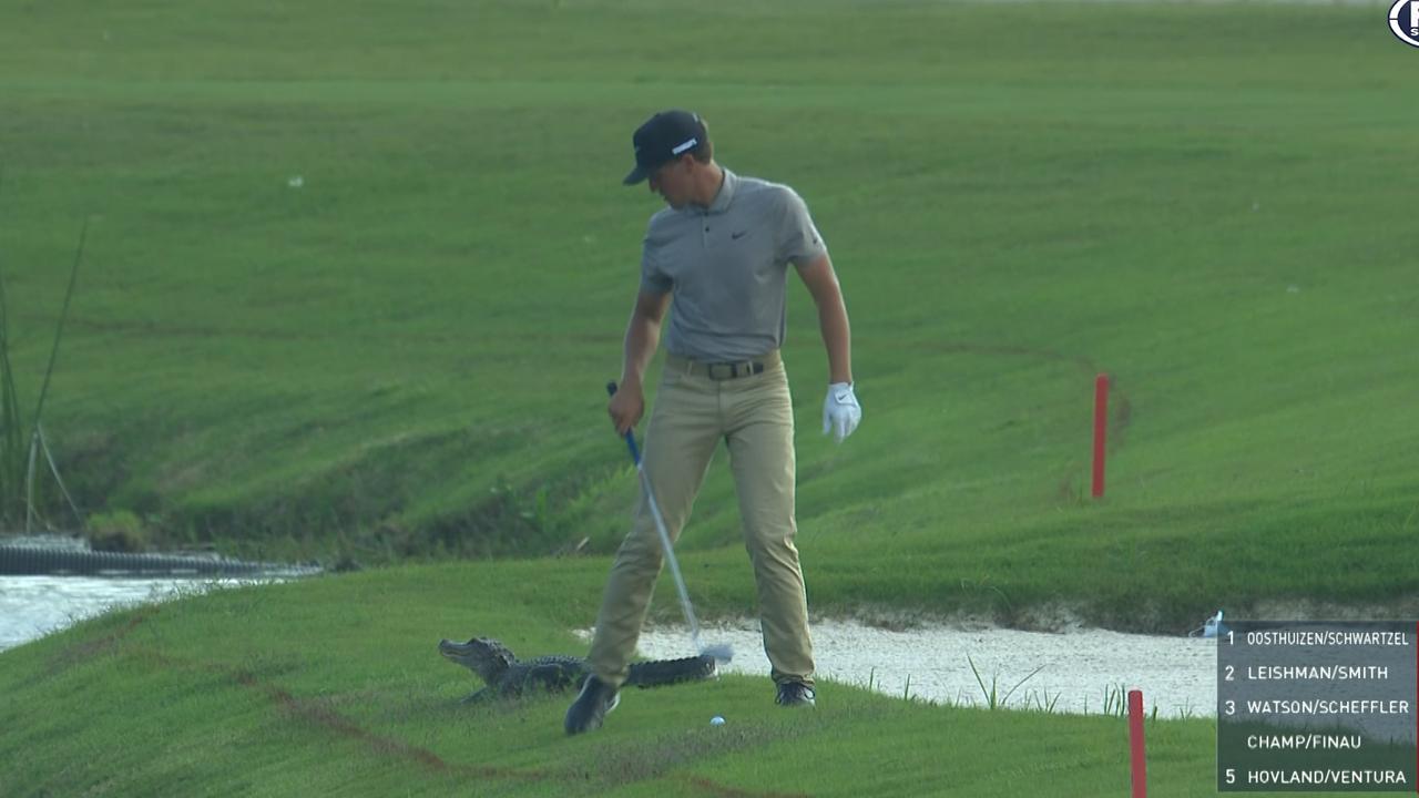 Cameron Champ had to play his shot on the 18th with an alligator just metres behind him. Photo: Fox Sports.