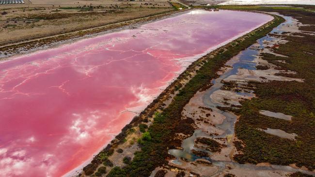 Drone footage of dead and dying mangroves and saltmarsh at St Kilda, where super salty water can be seen in evaporation ponds and some brine is crystallising to white salt. Picture: Alex Mausolf