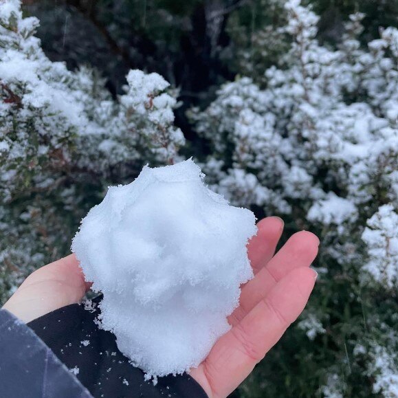 Enough snow fell at Mt Donna Buang on Saturday afternoon for a snowball fight. Picture: Sarah Bailey via Snow Alert Victoria Facebook page.