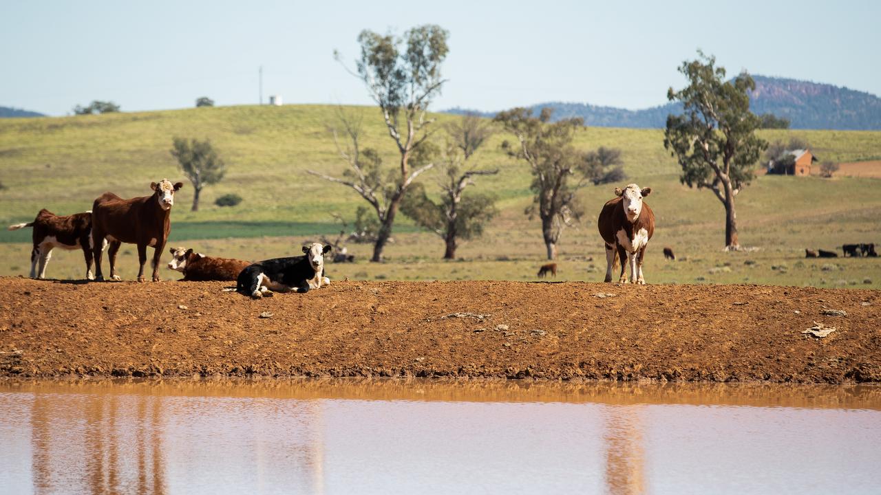 FUNDING: $100k for Western Downs to tackle drought. Pic: Mark Kolbe