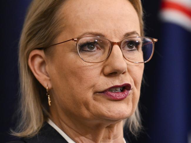 CANBERRA, AUSTRALIA  - NewsWire Photos - May 28, 2025: Leader of the Opposition Sussan Ley and Party leader of the National Party of Australia David Littleproud hold a press conference at Parliament House in Canberra Picture: NewsWire / Martin Ollman