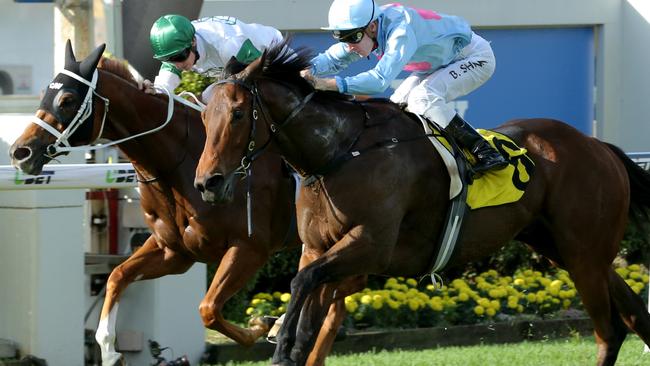 Genuine horse: Blake Shinn (right) secures the BRC Sprint on Snippets Land at Doomben. Picture: Mark Cranitch