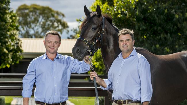 New Magic Millions director Barry Bowditch and outgoing director Vin Cox at the Magic Millions sales yard. Picture: Jerad Williams