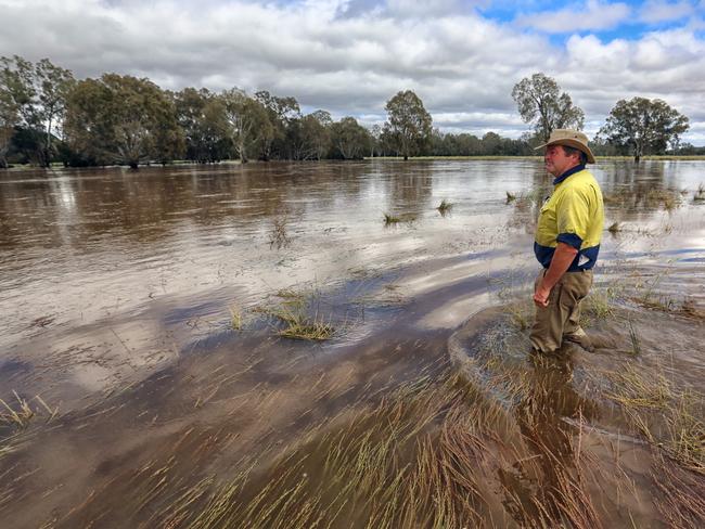 Steve Mooney on flooded farmland he leases in Everton, between Wangaratta and Myrtleford. Picture: Alex Coppel.