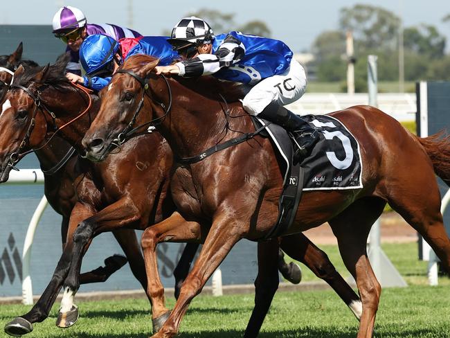 SYDNEY, AUSTRALIA - MARCH 15: Tim Clark riding Vauban win Race 5 Asahi Super Dry Sky High Stakes during "Chandon Ladies Day" - Sydney Racing at Rosehill Gardens on March 15, 2025 in Sydney, Australia. (Photo by Jeremy Ng/Getty Images)