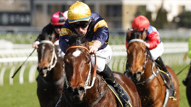 Masked Crusader was the best result for the bookies. Picture: Mark Evans/Getty Images