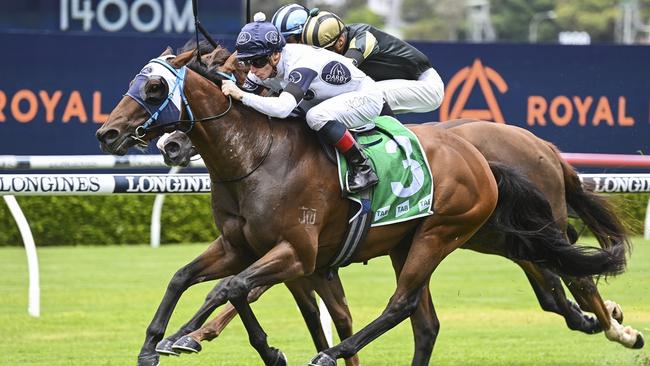 Royal Randwick, 17/12/2022, Winner - Super Extreme, Jockey - James McDonald. Picture: Bradley Photos