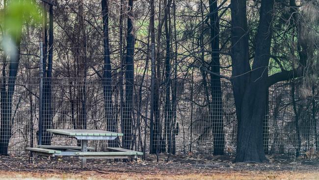 A grass fire has damaged property at Riverwood Public School. Picture: Carmela Roche