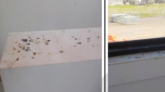 Bird droppings inside their home. Picture: Expert building report