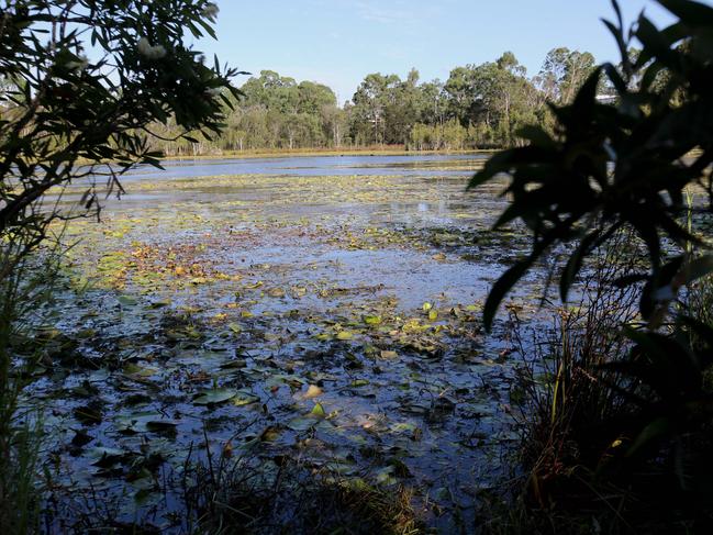 The dam in Scrubby Creek in Kingston where the pair’s bodies were found submerged in a toolbox. Picture: Jono Searle