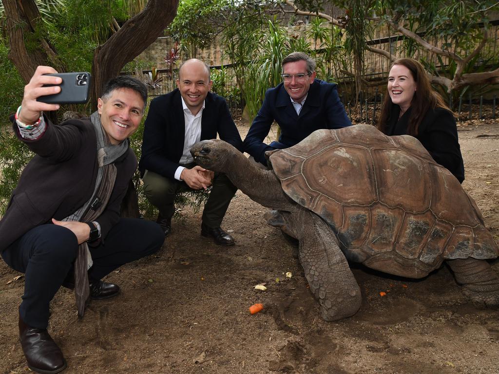 Premier DSominic Perrottet (middle) scored a Gold Pass to Taronga Zoo. Pictured with Minister for Customer Service Victor Dominello, Minister for Energy and Environment Matt Kean and Member for North Shore Felicity Wilson. Picture: Joel Carrett