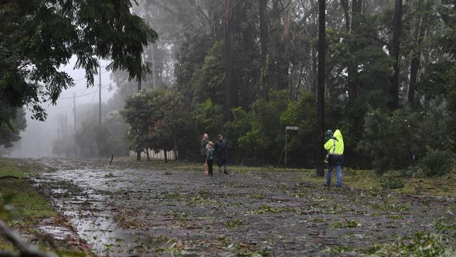 Highfields residents check out the aftermath of TC Alfred as it impacts Toowoomba, Sunday, March 9, 2025. Picture: Kevin Farmer